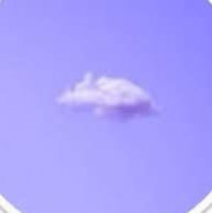 Meet your Posher, Leo